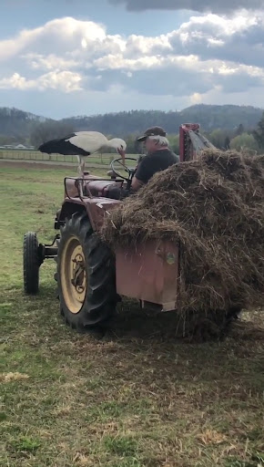 La Esperanza Home Care