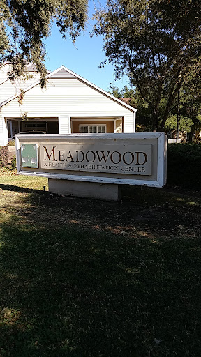 Meadowood at O'Connor Woods