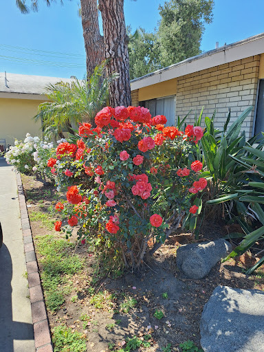 Rosemead Healthcare Center