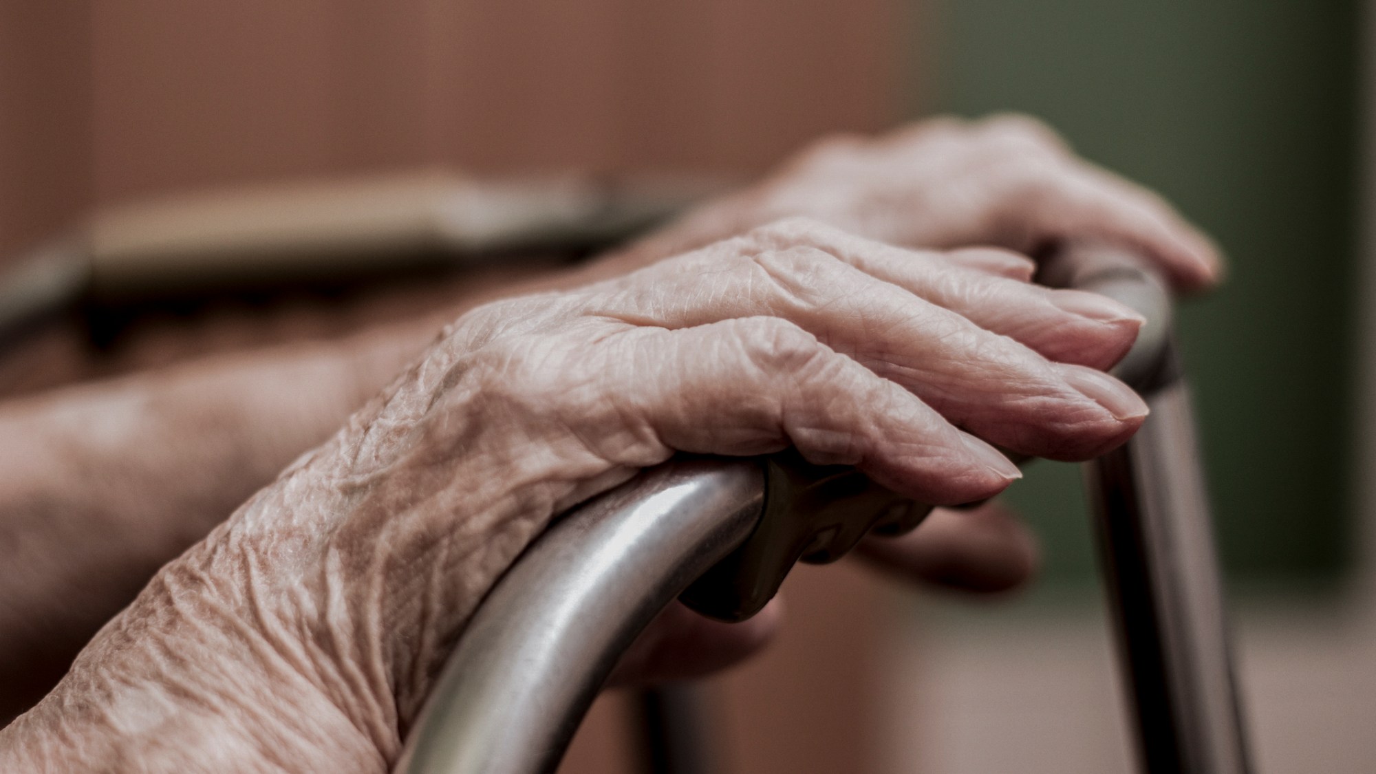 Asilo de Ancianos en Santa Ana, California: Servicios, Precios y Reseñas – Guía Completa