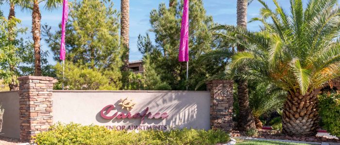 Vivienda senior sin preocupaciones en The Willows - Comunidad de adultos mayores